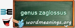 WordMeaning blackboard for genus zaglossus